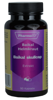 Baikal skullcap - for bacterial, viral, fungal infections, fever, diarrhea, gastrointestinal flu, slows down arteriosclerosis, regenerates the liver, in case of allergy, against itching, rash, lowers blood pressure, sugar level, scutellaria baicalensis ra
